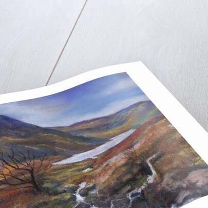 The Lake district by Margo Starkey