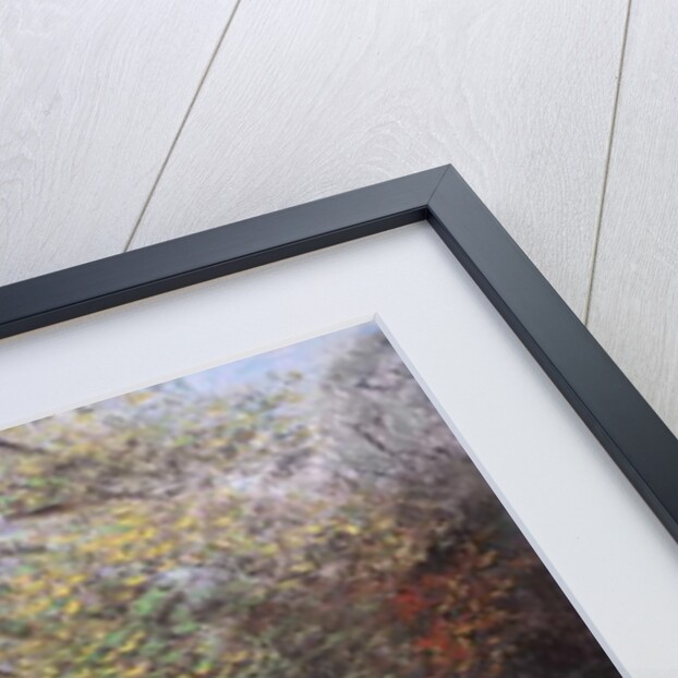 Autumn on river Thames by Margo Starkey