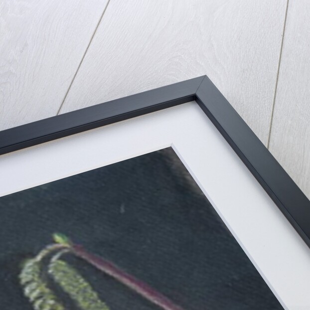 Catkins by Margo Starkey