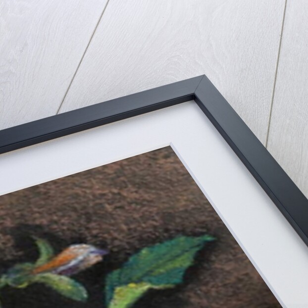 Three Pansies by Margo Starkey