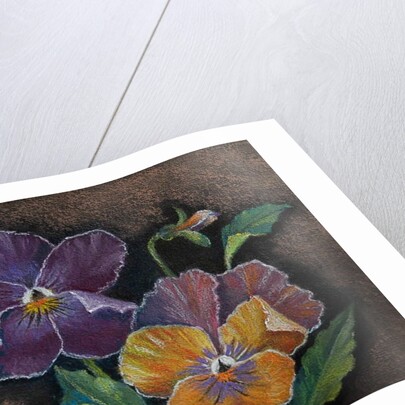 Three Pansies by Margo Starkey