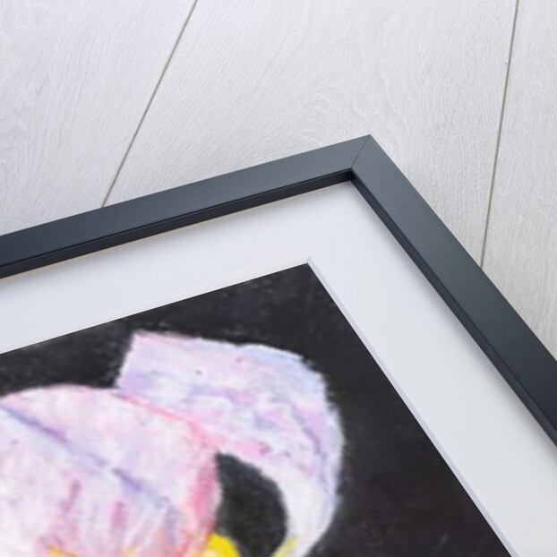 Iris from my garden by Margo Starkey