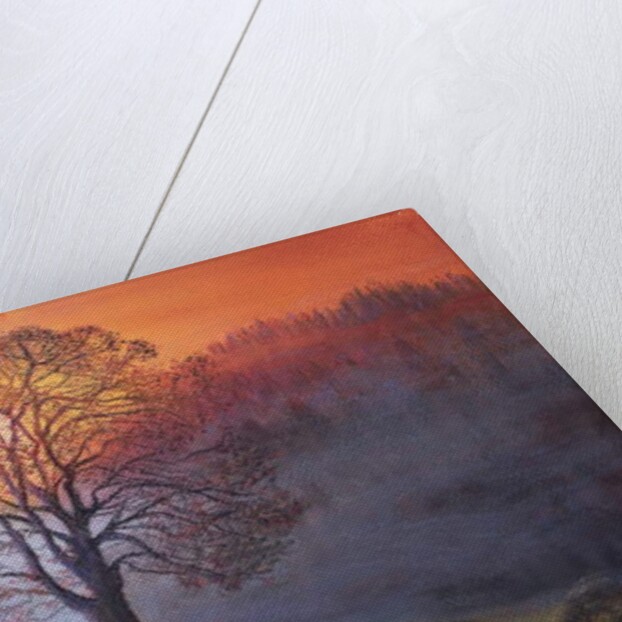 Autumn mists by Margo Starkey