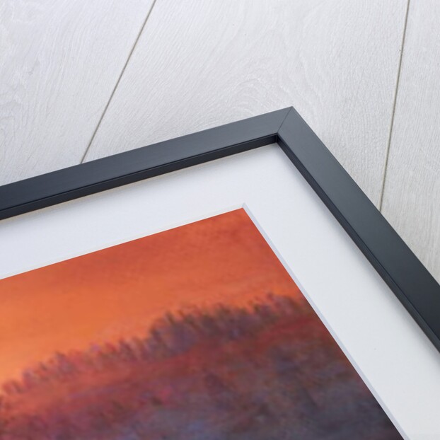 Autumn mists by Margo Starkey