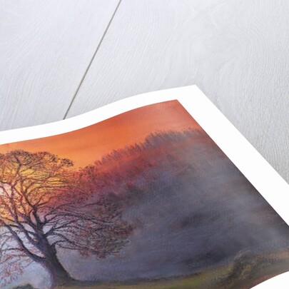 Autumn mists by Margo Starkey