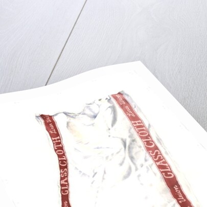 Glass Cloth, 2004 by Miles Thistlethwaite