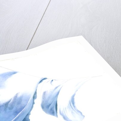 Sheet and Pillowcases in Tiree Wind, 2004 by Miles Thistlethwaite