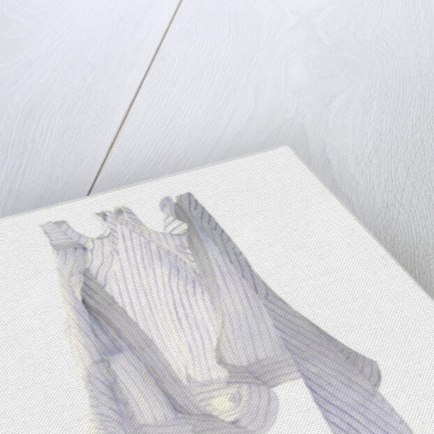 Stripy Blue Shirt in a Breeze, 2004 by Miles Thistlethwaite