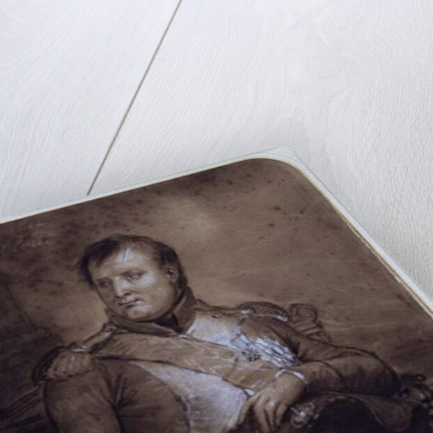 Napoleon I at Saint-Cloud, 1812 by Anne Louis Girodet de Roucy-Trioson