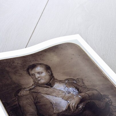 Napoleon I at Saint-Cloud, 1812 by Anne Louis Girodet de Roucy-Trioson