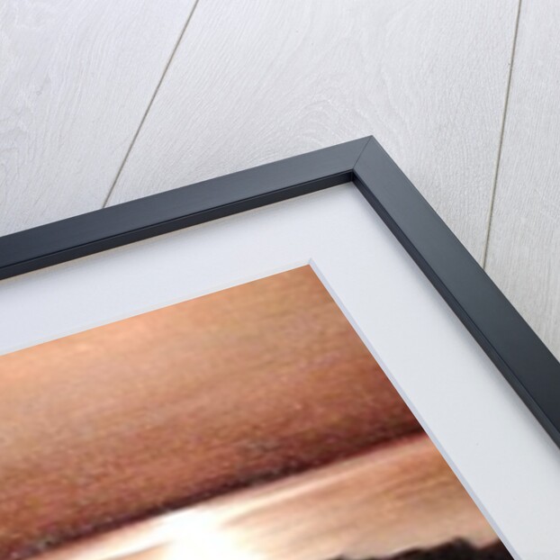 Moonlight, 2002 by Antonia Myatt