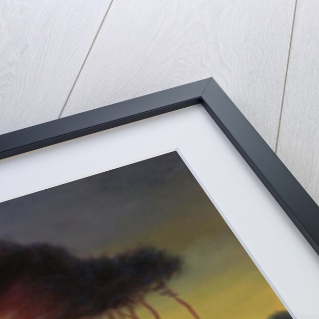 Wild Trees at Sunset, 2002 by Antonia Myatt