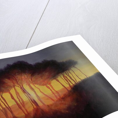 Wild Trees at Sunset, 2002 by Antonia Myatt