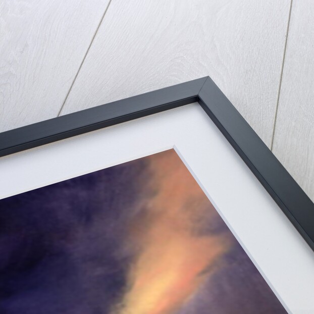 Butterfly Clouds, 2002 by Antonia Myatt