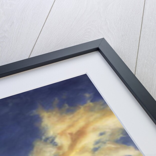 Father's Joy, 2001 by Antonia Myatt