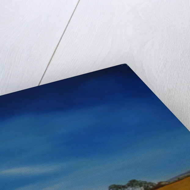 Milford on Sea, Lymington 2016 by Antonia Myatt