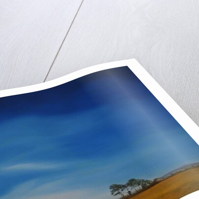 Milford on Sea, Lymington 2016 by Antonia Myatt