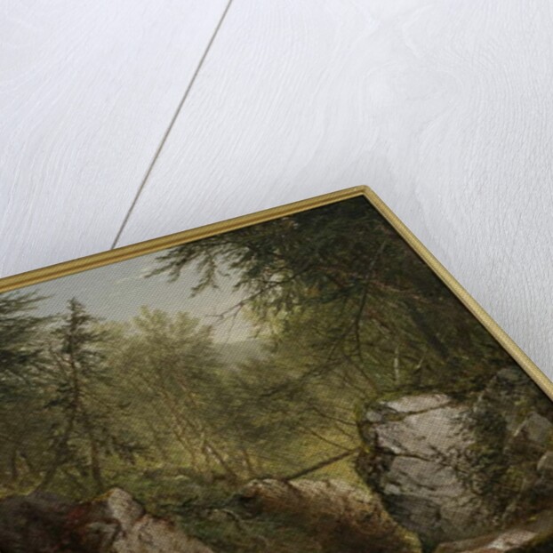 The Bash-Bish, 1855 by John Frederick Kensett