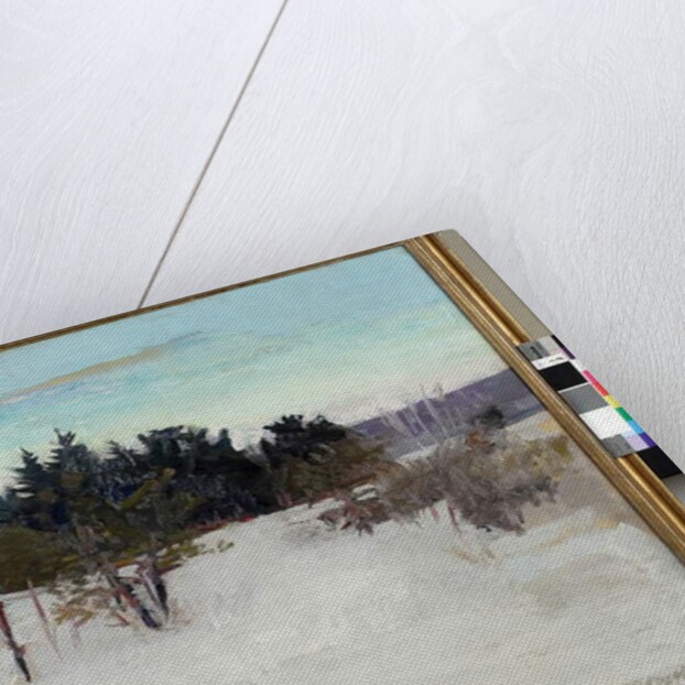 Winter Landscape, 1902 by Abbott Handerson Thayer