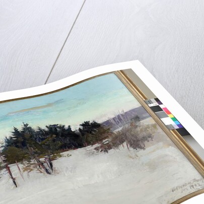 Winter Landscape, 1902 by Abbott Handerson Thayer