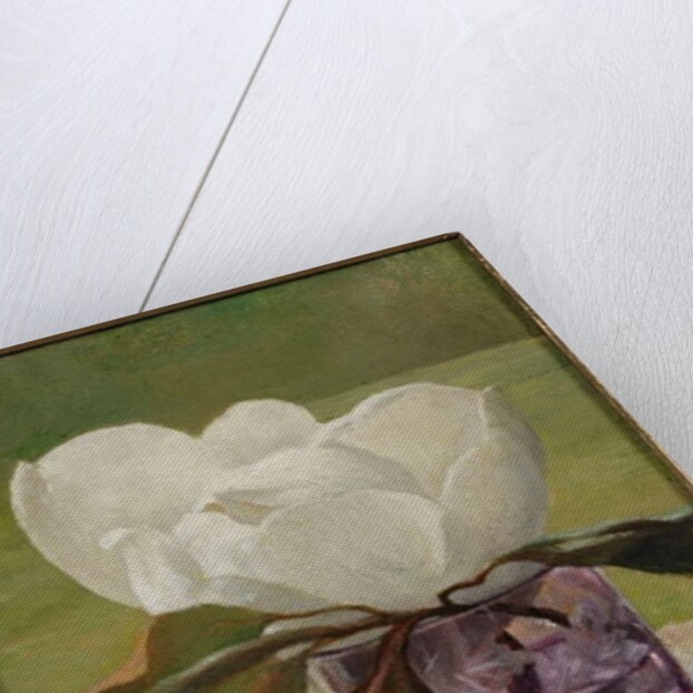 Magnolia Blossom by John La Farge or Lafarge