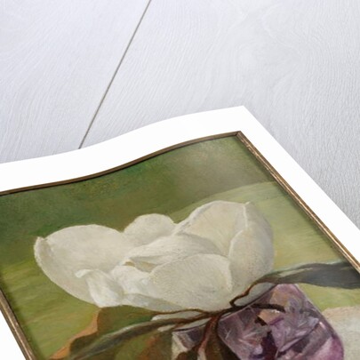 Magnolia Blossom by John La Farge or Lafarge