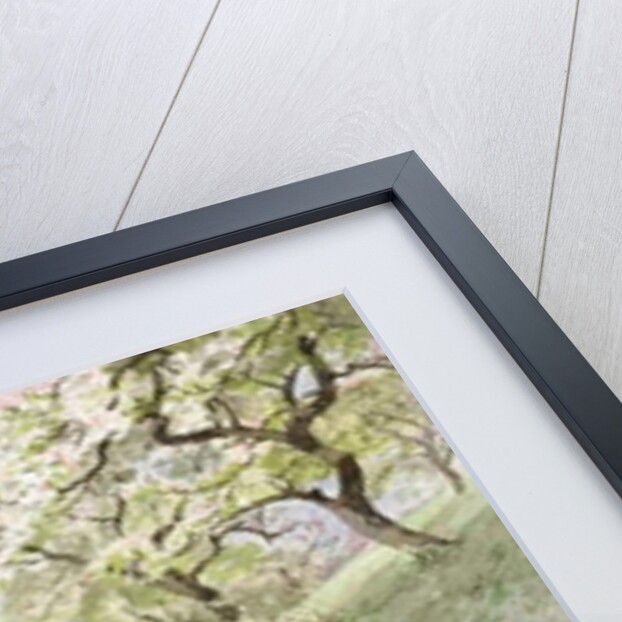 Fidelia Bridge's Garden in Canaan, Connecticut, 1901 by William Trost Richards