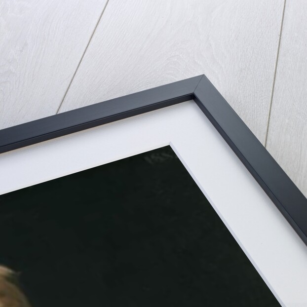 Frederick Dielman, 1882 by Frank Duveneck