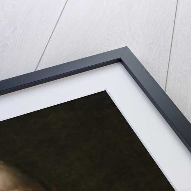 Walter Launt Palmer, 1887 by William Merritt Chase