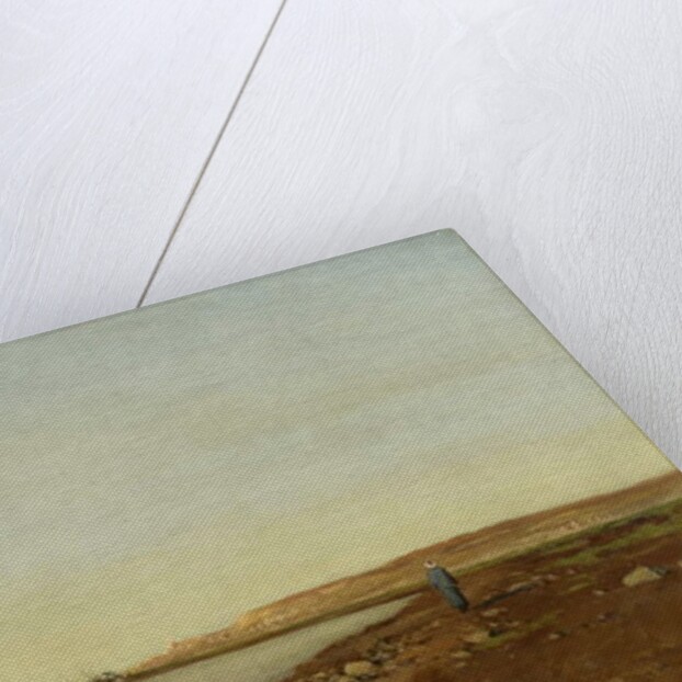 Coast Scene, 1892 by Lockwood de Sr. Forest