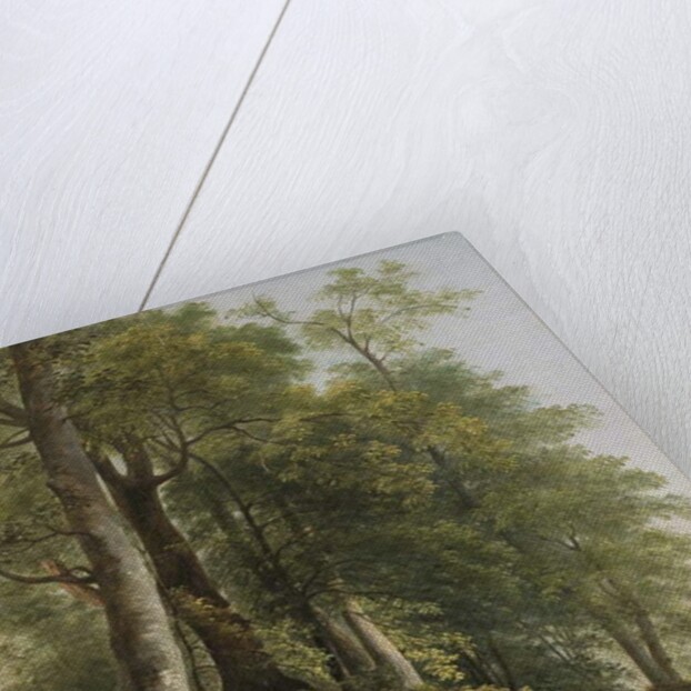 Landscape with Rocks and Trees, c.1845 by Asher Brown Durand