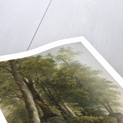 Landscape with Rocks and Trees, c.1845 by Asher Brown Durand