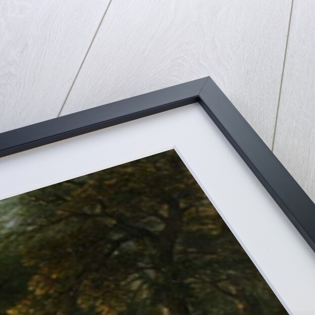 Landscape, 1850 by Asher Brown Durand