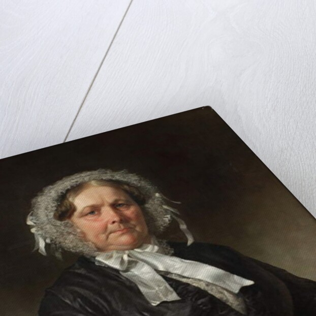 Mary Ann Goulding, 1858 by Charles Loring Elliot