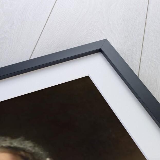 Mary Ann Goulding, 1858 by Charles Loring Elliot