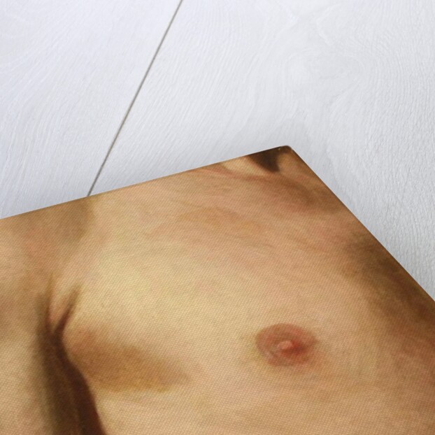 Detail from Dead Rabbit, 1858 by George Henry Hall