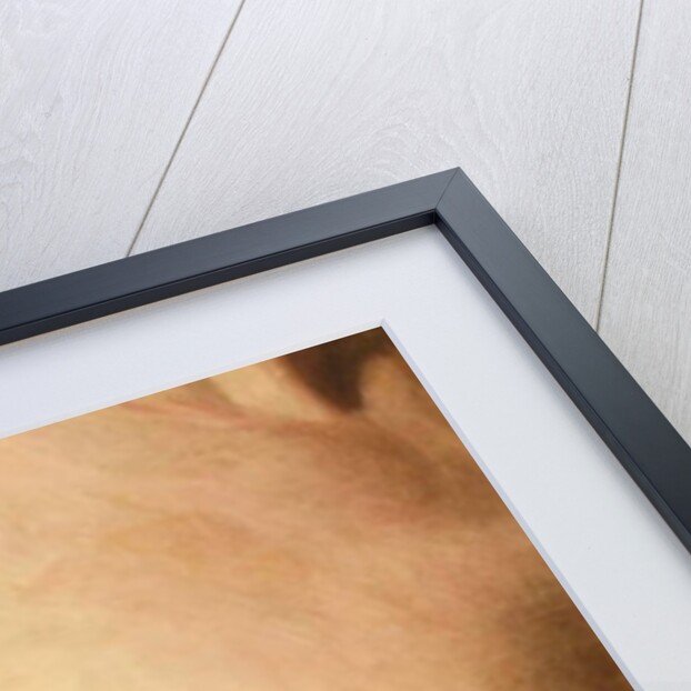 Detail from Dead Rabbit, 1858 by George Henry Hall