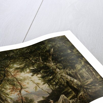 Glimpses from the Forest, 1856 by Daniel Huntington