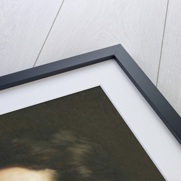 Victor Gifford Audubon, 1846 by Daniel Huntington