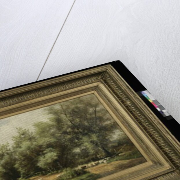 Sheep Washing on Long Island, 1874 by Charles Henry Miller