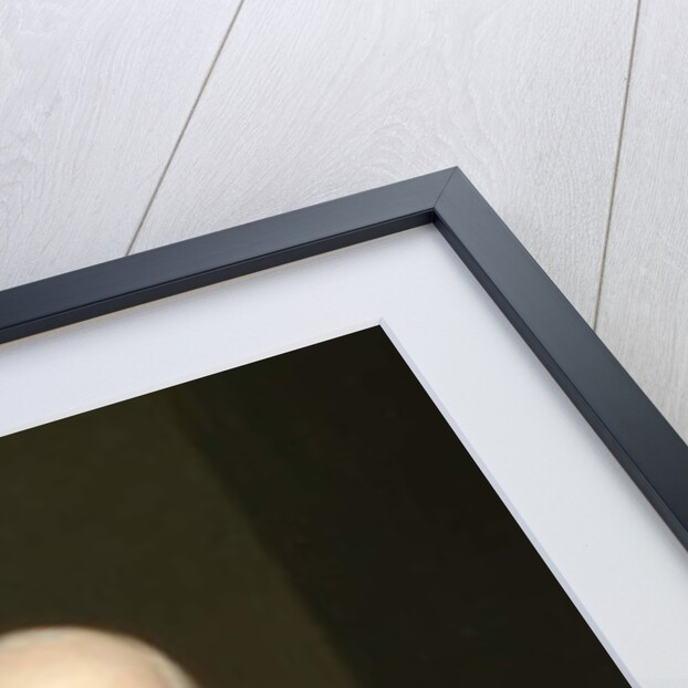 Benjamin West by Samuel Finley Breese Morse