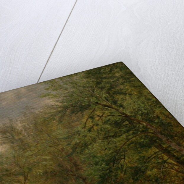 Study from Nature, 1863 by Thomas Worthington Whittredge