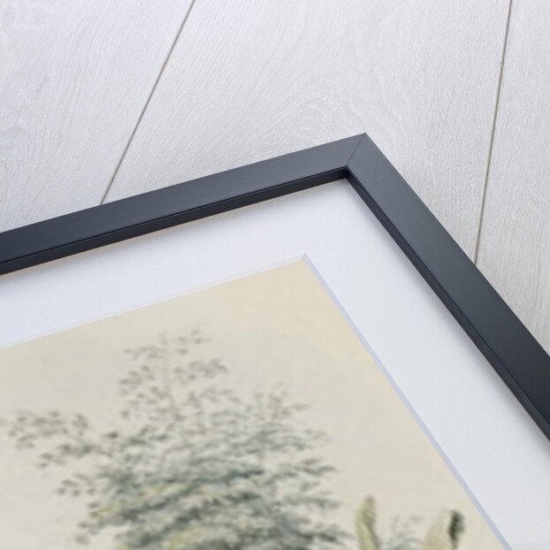 Native House Near Manila, 1842 by Alfred Thomas Agate