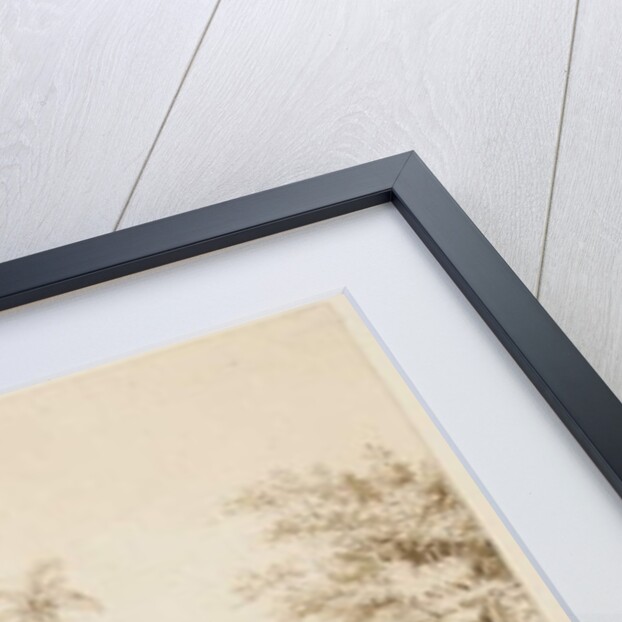 Tombs at Muthuata Island, Fiji by Alfred Thomas Agate