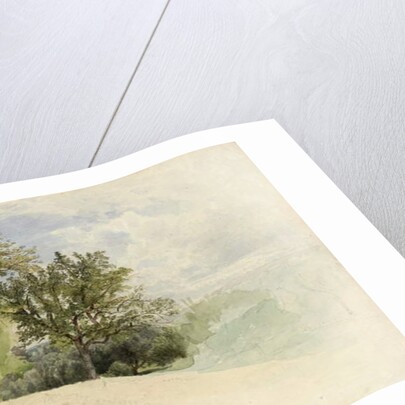 Landscape with Trees on a Hillside, 1880-85 by William Trost Richards