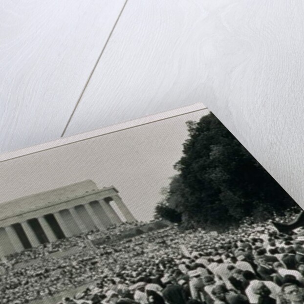 The March on Washington: A View from the Reflecting Pool, 28th August 1963 by Nat Herz