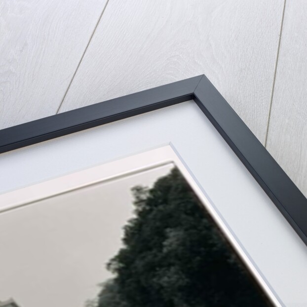 The March on Washington: A View from the Reflecting Pool, 28th August 1963 by Nat Herz