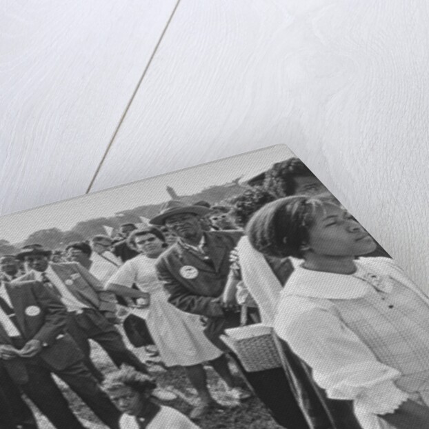 The March on Washington: Washington Monument Grounds, 28th August 1963 by Nat Herz