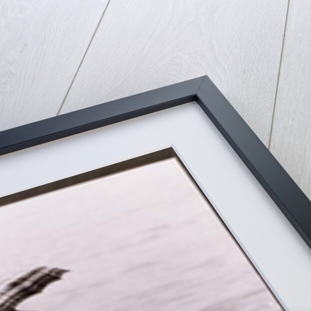 Woman with Sun Umbrella, Untitled 11, c.1953-64 by Nat Herz