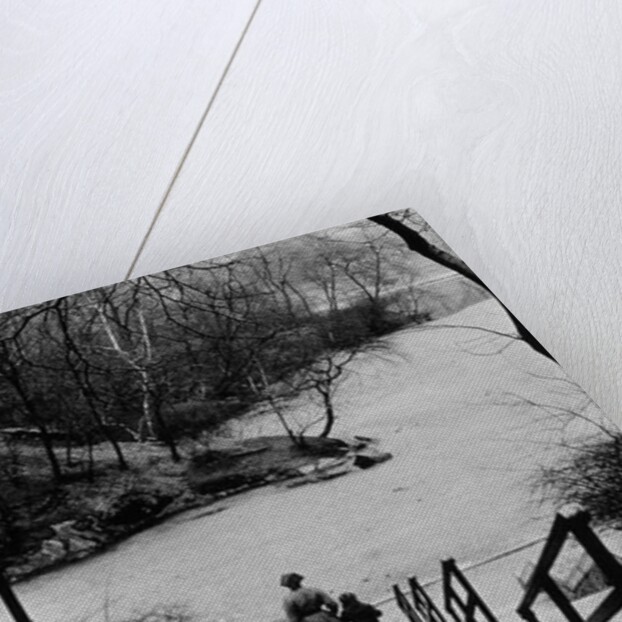 Central Park in Winter, c.1953-64 by Nat Herz